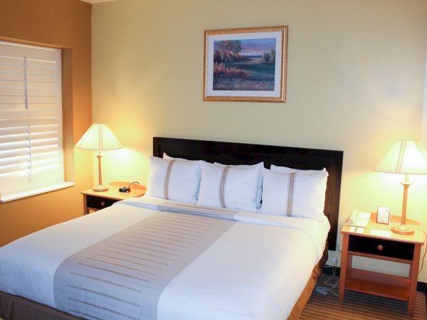 A tidy hotel room with a large bed, two nightstands, lamps, a framed picture, and a window beside the bed.