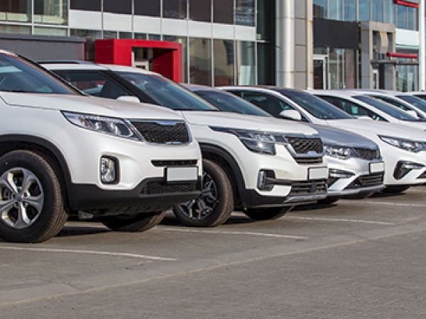 A row of white SUVs lined up in a parking lot in front of a modern glass-front building, all facing right.
