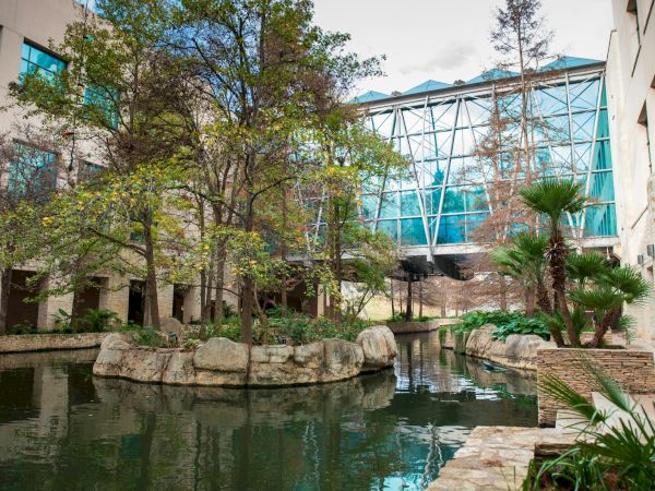 A tranquil courtyard with a pond, rocks, and lush trees surrounded by modern buildings and a glass-walled walkway.
