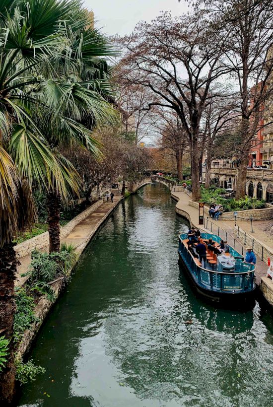 A canal with greenish water runs between stone walkways lined by palm trees and bare trees; a blue boat with passengers glides along the right side.